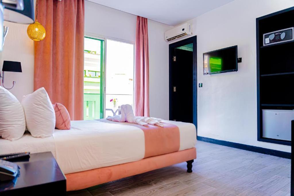 Budget Double Room,1758935515:JPEG